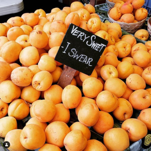 Screen Shot 2019-09-22 at 11.19.15 AM